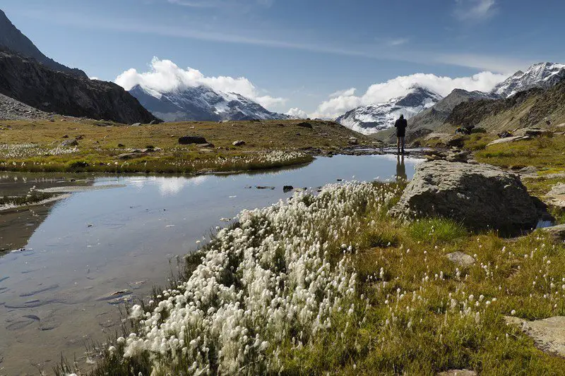 Lac d'altitude bordé de linaigrettes au-dessus du refuge de l'Epée, randonnée dans les Alpes Lac d