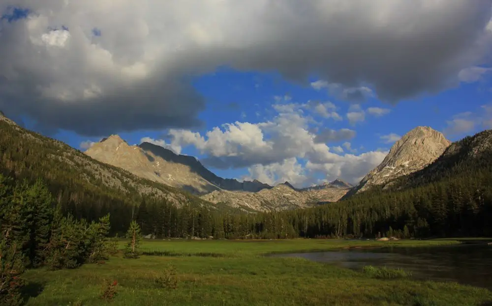 McClure Meadows : du grand spectacle !