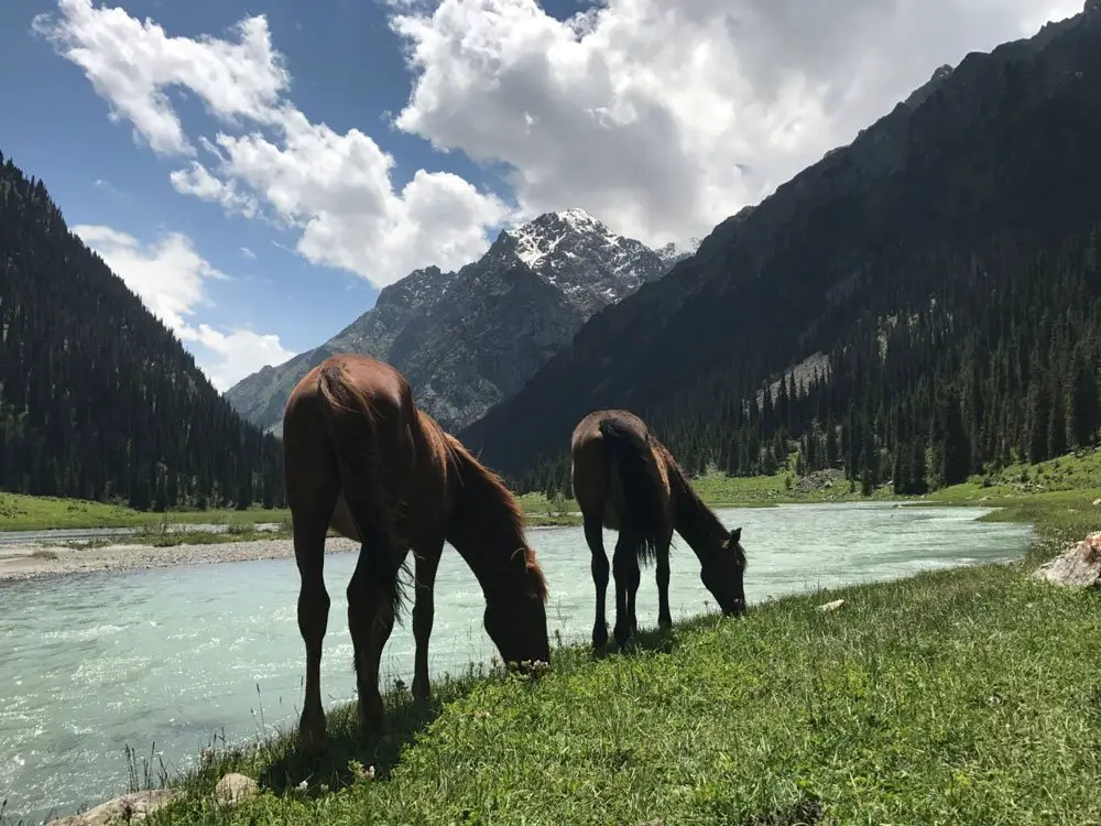 Sommets enneigés des montagnes Kirghizes de la vallée de Karakol