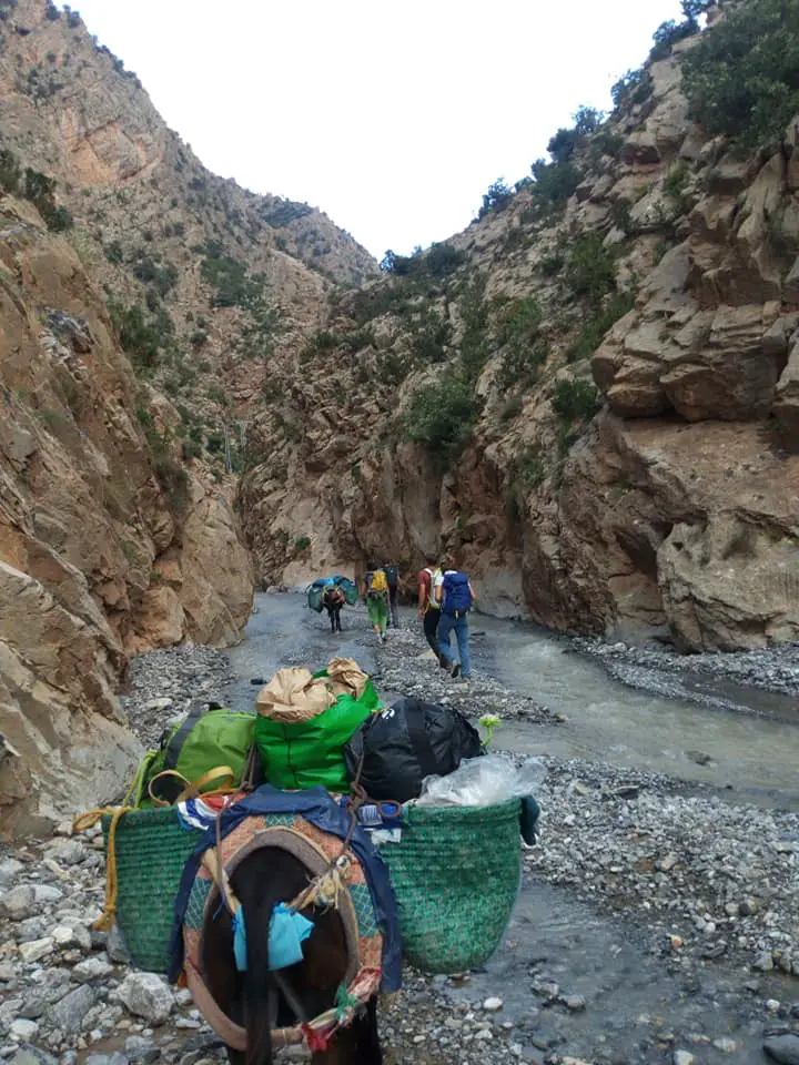 Transport en mule de vos affaires de grimpe à Taghia