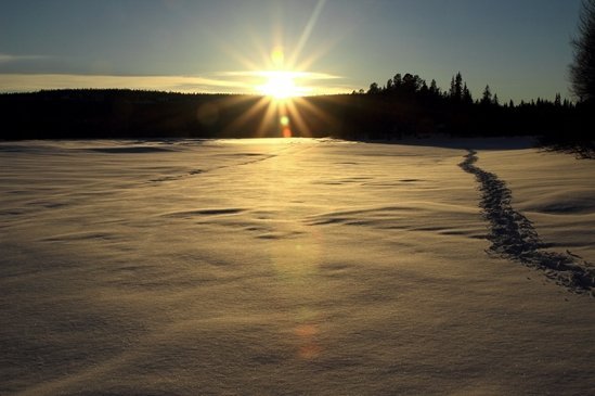 Paysage de couché de soleil en Laponie