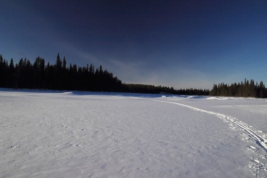 Trace de ski en Laponie