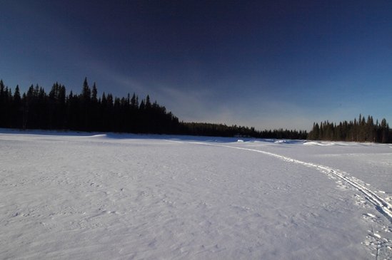Trace de ski en Laponie Trace de ski en Laponie