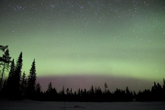 Ciel étoilé d'aurores boréales en Laponie Ciel étoilé d
