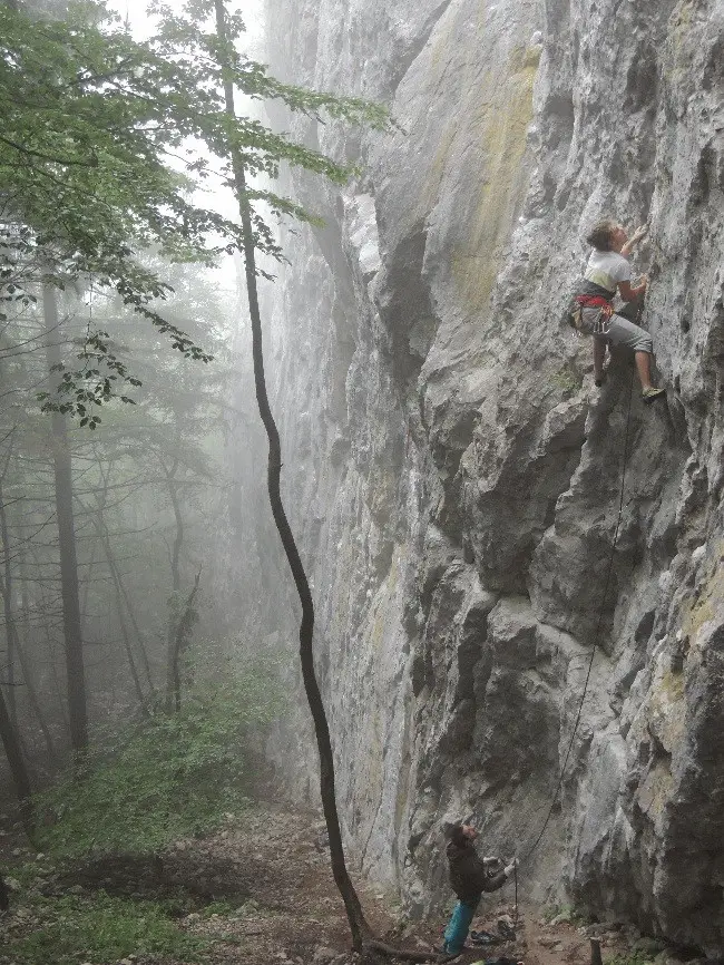 Ambiance brumeuse surréaliste - escalade en slovénie