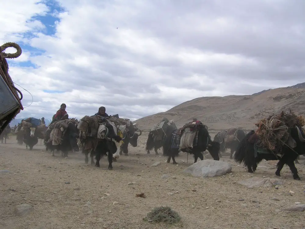 photo10, trek en inde du nord