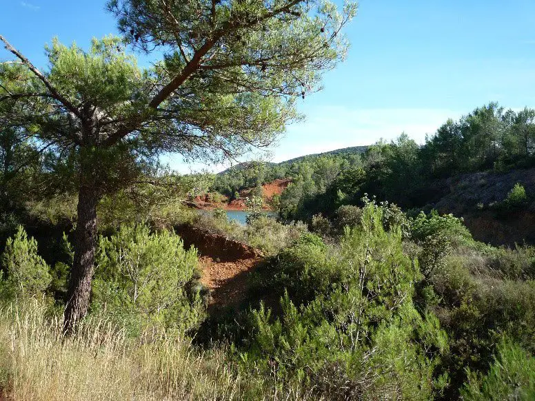 Étang, près de La Boissière