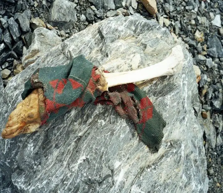 Découverte macabre Ascension du Gasherbrum 2