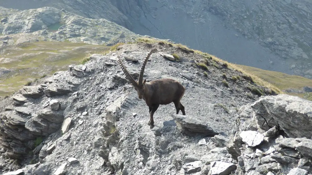 tour du Mont Viso