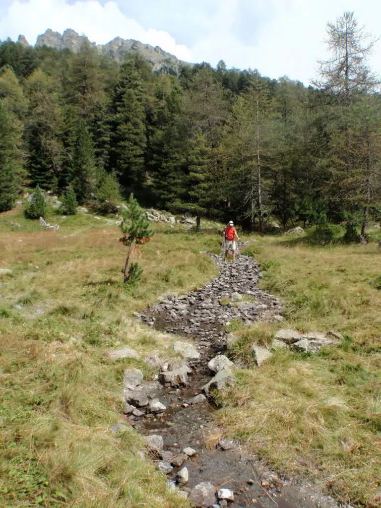 Douceur retrouvée dans une forêt méditerranéenne