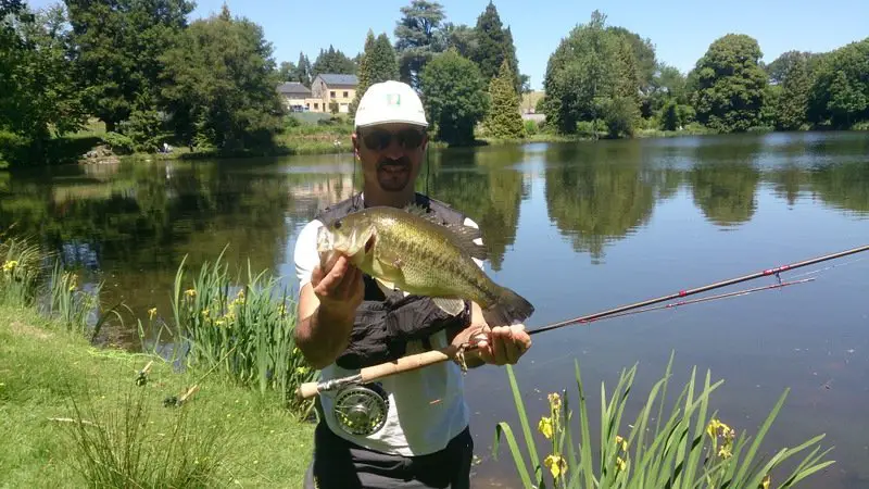 Bertrand MICHALON Black Bass pêché à la mouche