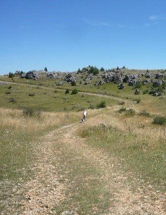 Causses Méjean