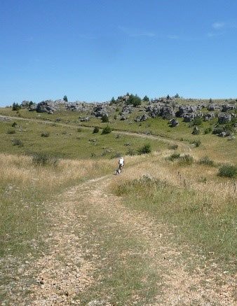 Causses Méjean Causses Méjean