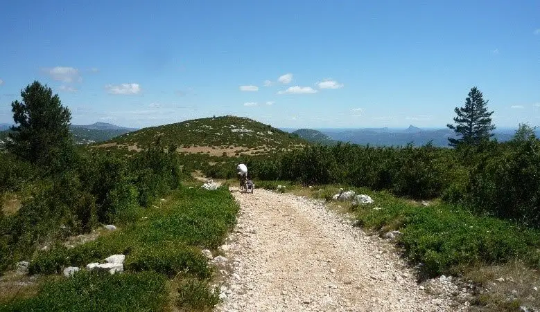 Chemin caillouteux de l’Hérault