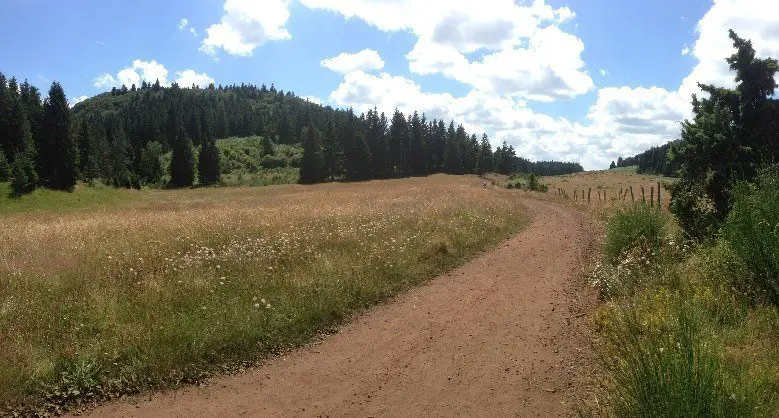 Chemin en pierre volcanique (Chaîne des Puys)