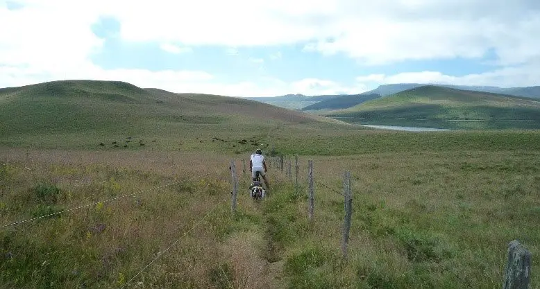 Chemin herbeux au milieu des pâturages du Cézalier