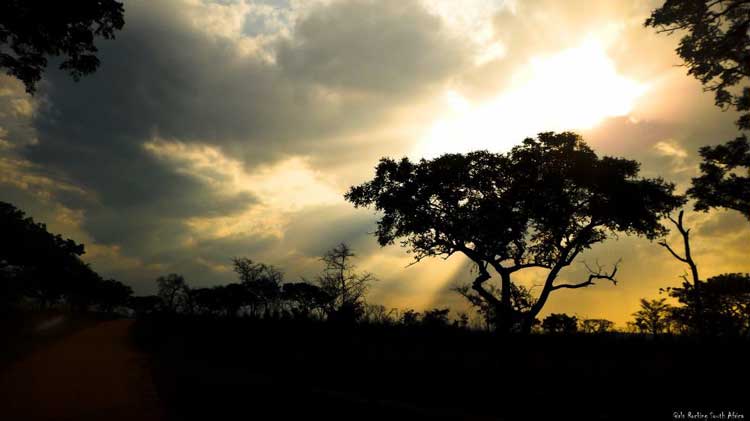 Coucher de soleil dans le Parc National Kruger