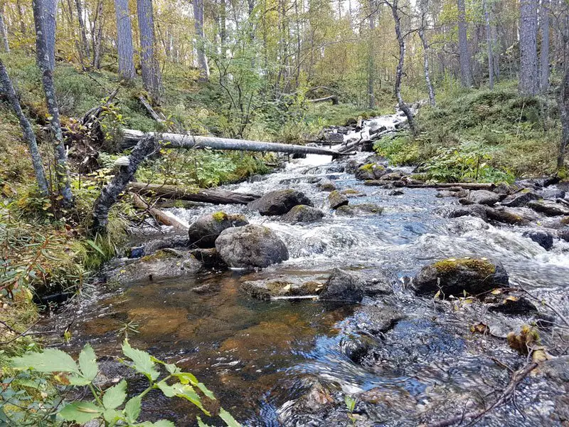 La petite rivière Louhioja La petite rivière Louhioja