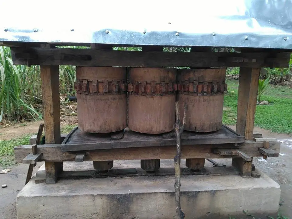 Machine pour presser la canne à sucre - trek à madidi en Bolivie