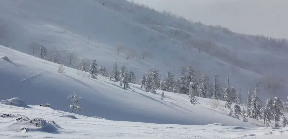 Paysage hivernal dans le Daisetsuzan - ski de randonnée au Japon