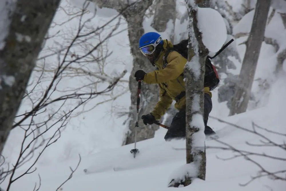 Pendant ce temps-là, Laurent se promène dans les boisPendant ce temps-là, Laurent se promène dans les bois