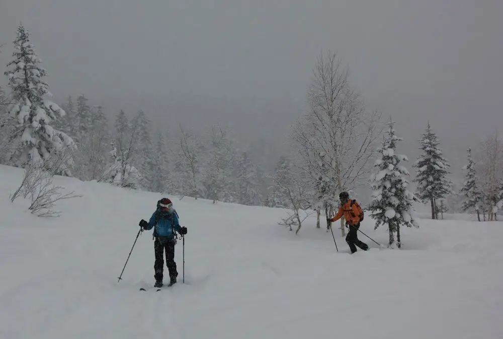 Remontée du vallon-autoroute de l’initiation au ski de rando - ski de randonnée au Japon