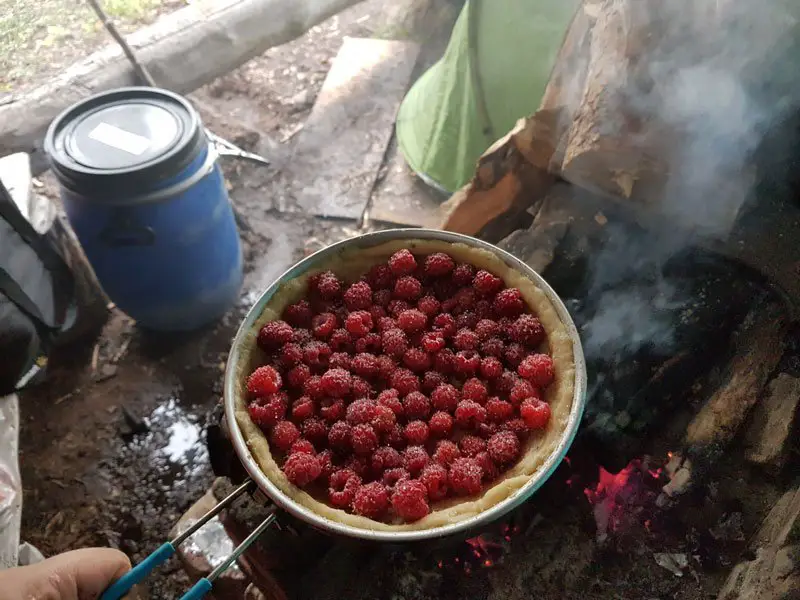 Tarte au framboise « maison »