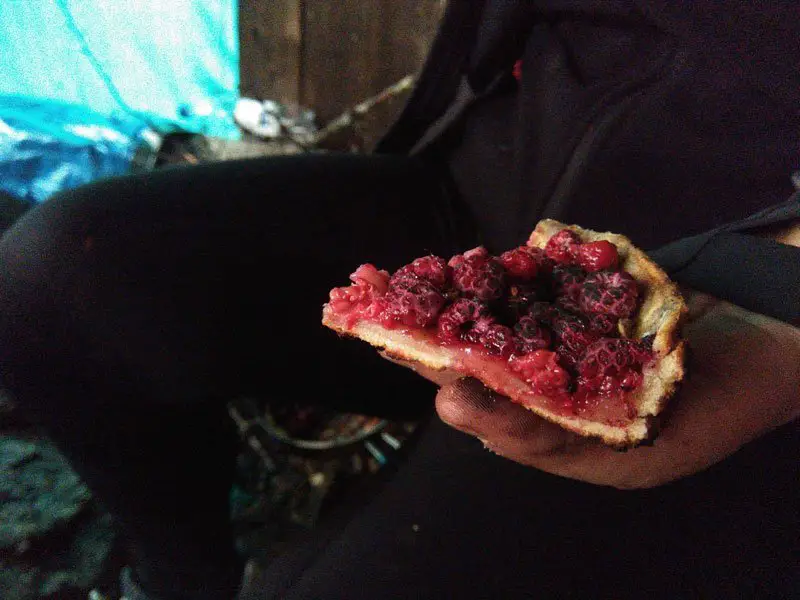 Un vrai délice réconfortant cette tarte aux framboises, cuisinée avec les moyens du bords, voyage en Laponie Un-vrai-délice-réconfortant-cette-tarte-aux-framboises,-cuisinée-avec-les-moyens-du-bords,-voyage-en-Laponie voyage en Laponie