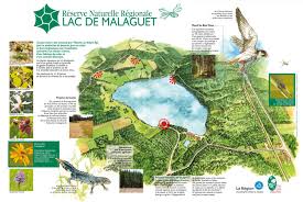 randonnée autour de la réserve régionale du lac de Malaguet