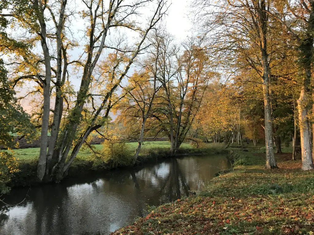 parcours de pêche à la mouche au Moulin de Boizard