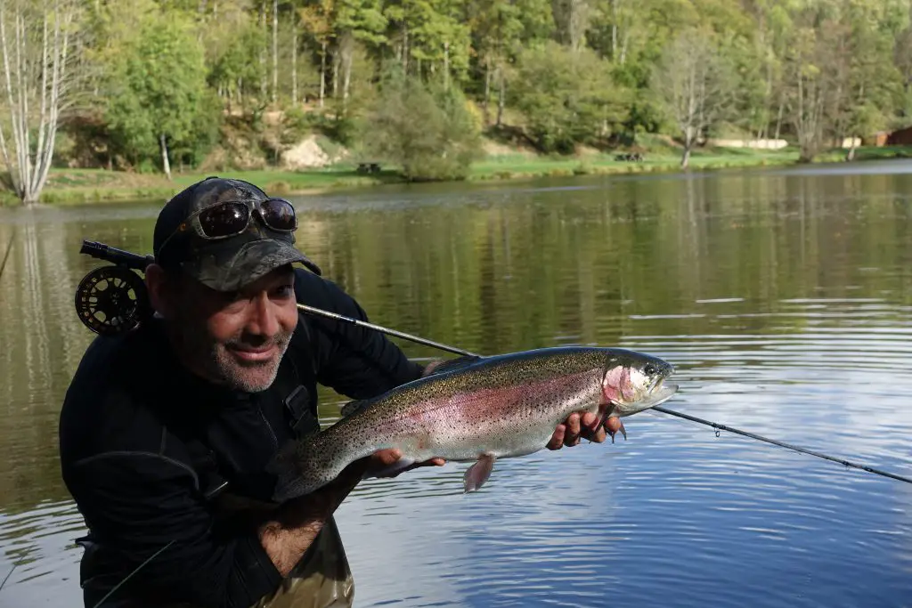 truite pêché au Moulin de Boizard