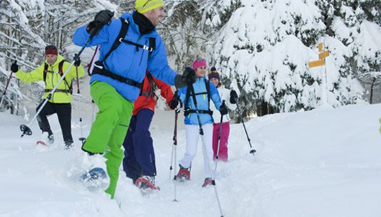 Guide raquette a neige