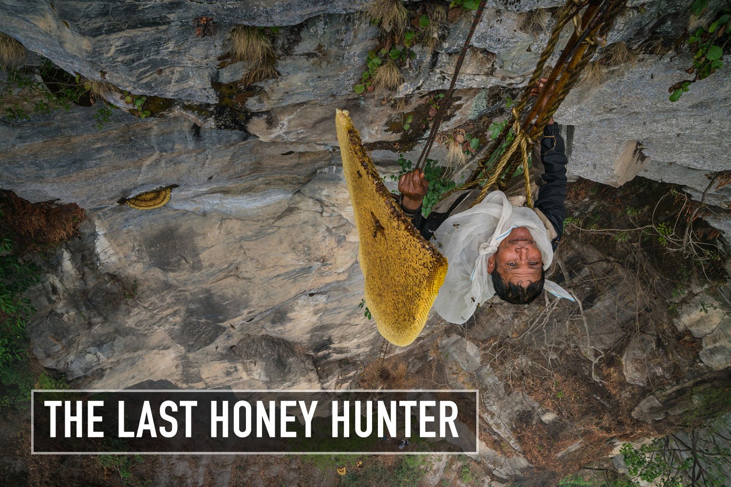 Festival de Banff 2018 : The Last Honey Hunter