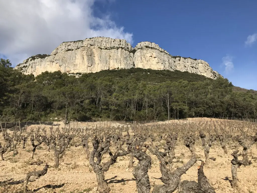 Escalade dans l'Hérault : Site d'escalade de L'Hortus 