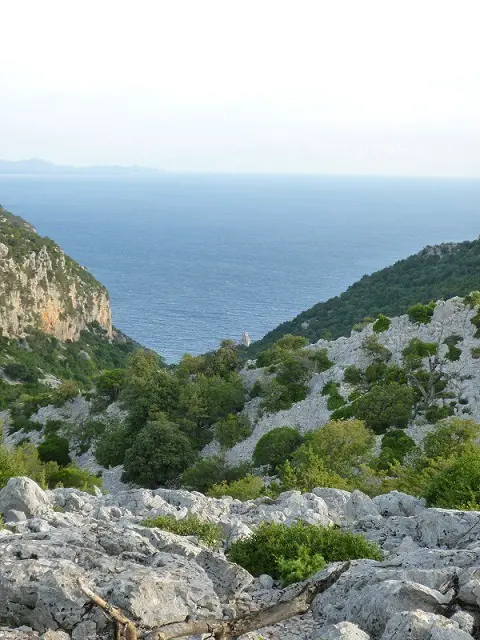 La grande baie de cala Goloritze, on aperçoit la pointe de L'Aguglia droit devant