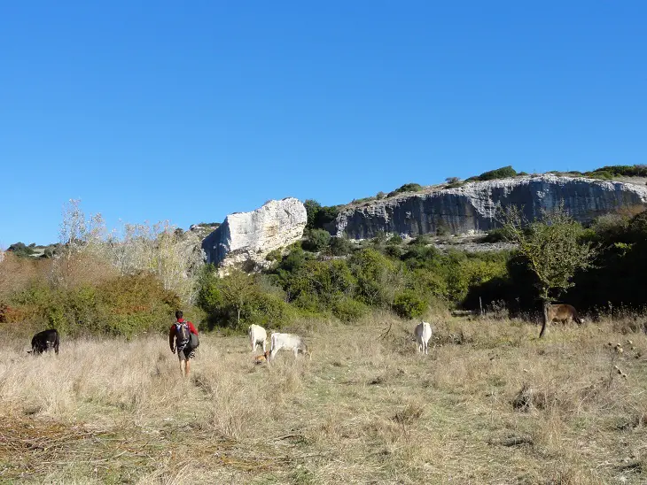 Le merveilleux petit vallon d'Isili. Attention aux vaches, plus farouches qu'elles en ont l'air.