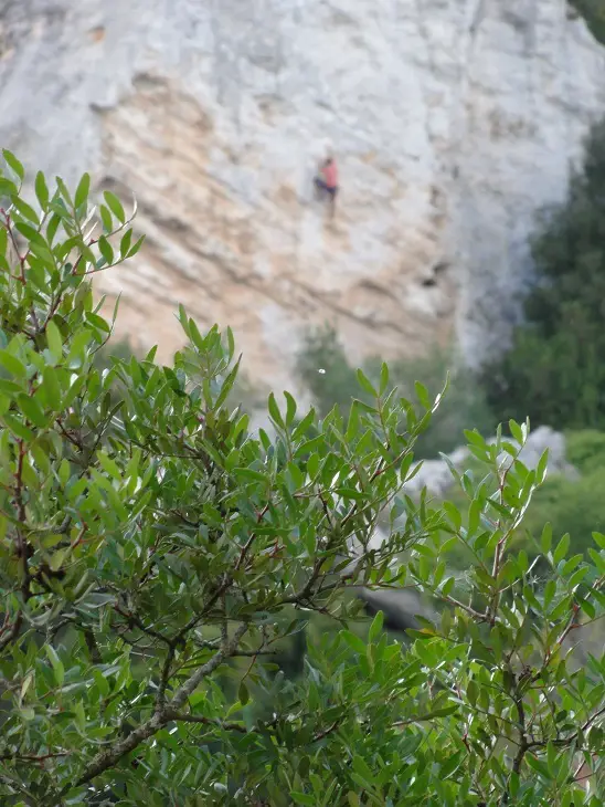 Un grimpeur profite du secteur Pentagramma, à chacun son secteur !