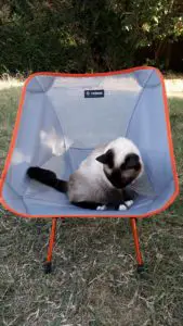 Fauteuil pliable Chair One HELINOX confortable même pour les chats