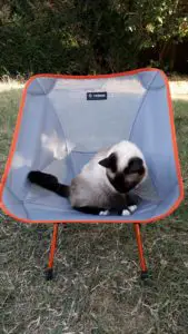 Fauteuil pliable Chair One HELINOX confortable même pour les chats Fauteuil pliable Chair One HELINOX confortable même pour les chats