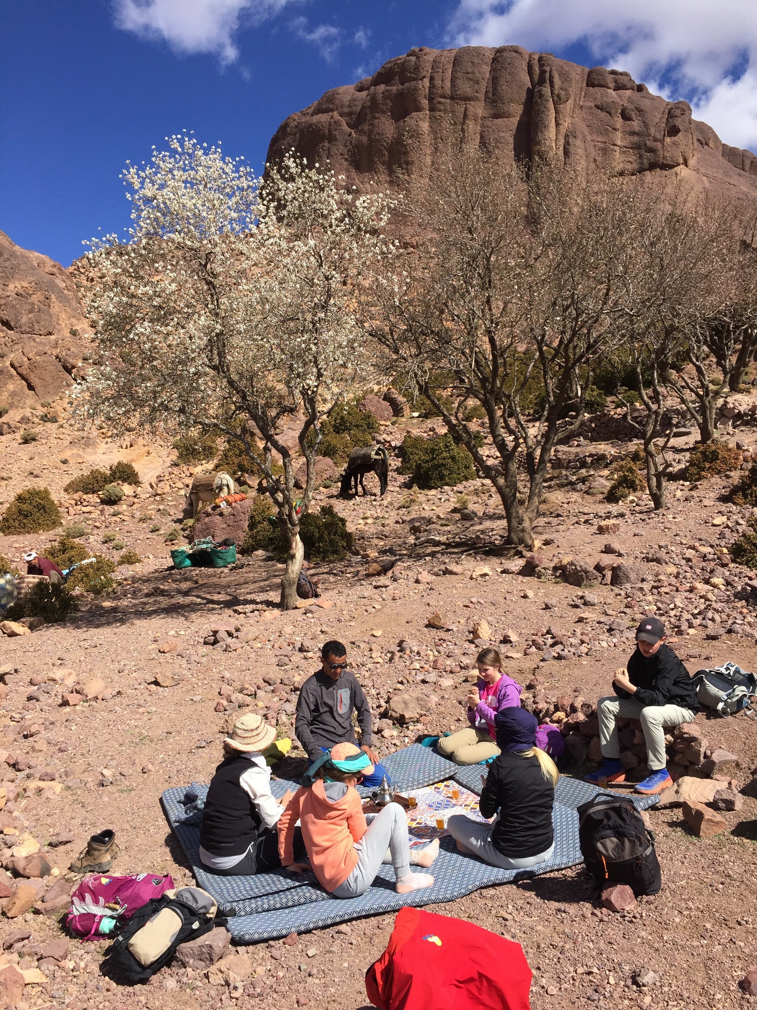 Aire de Pique-nique au Djebel Saghro