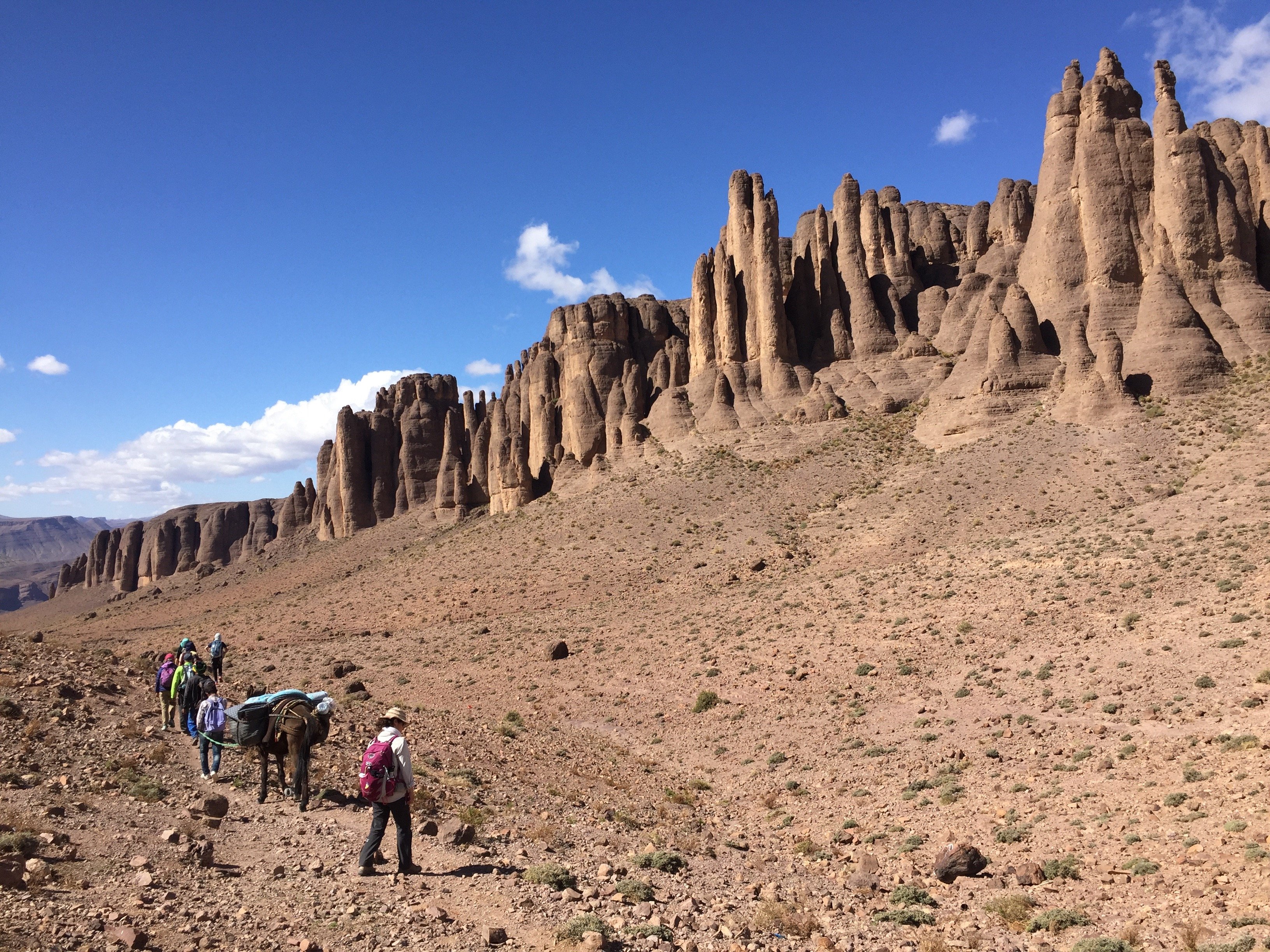 Trekking sur le Plateau des Aiguilles du Djebel Saghro