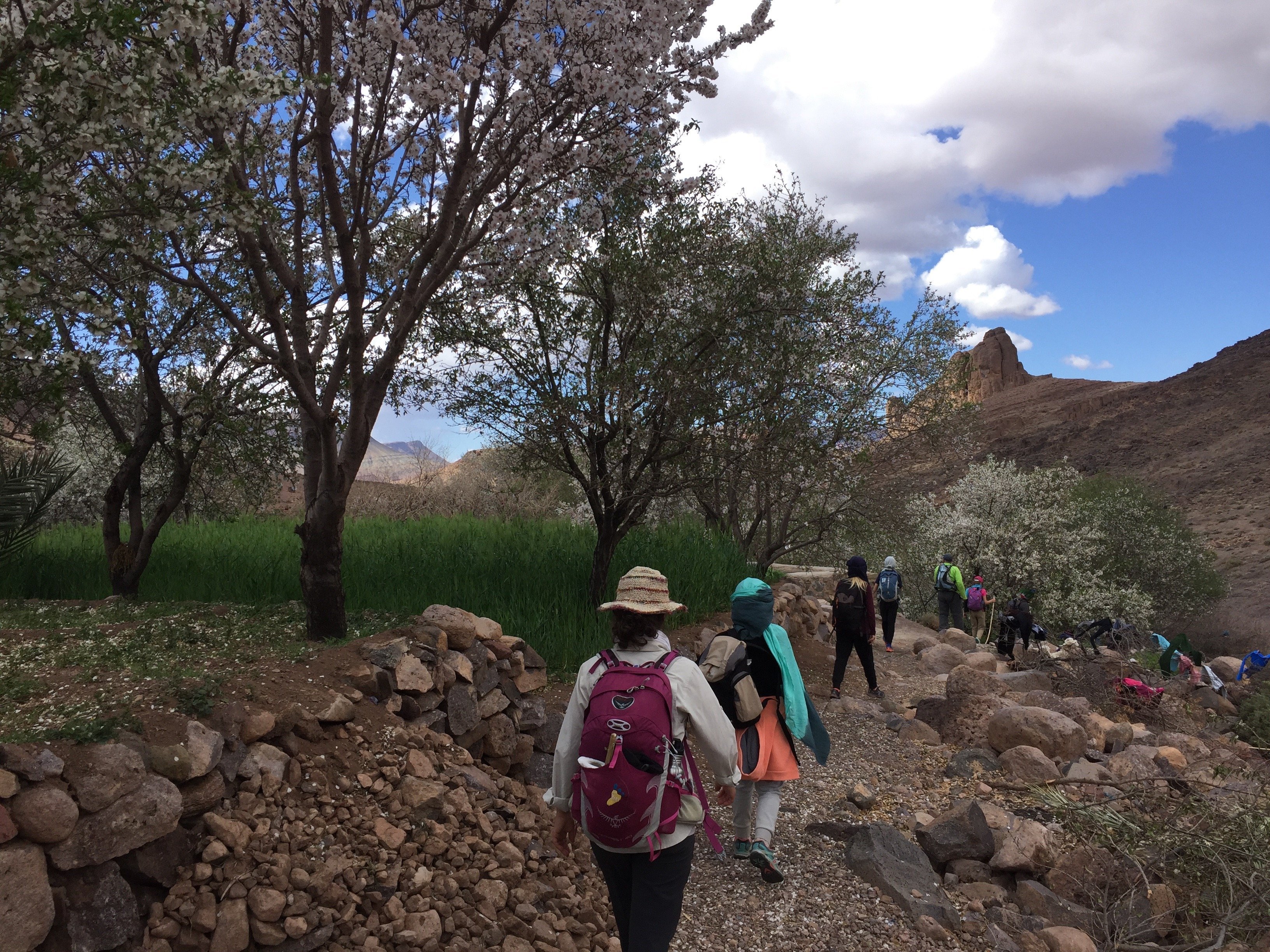 Trekking sur le Plateau des Aiguilles Ighazoun du Djebel Saghro