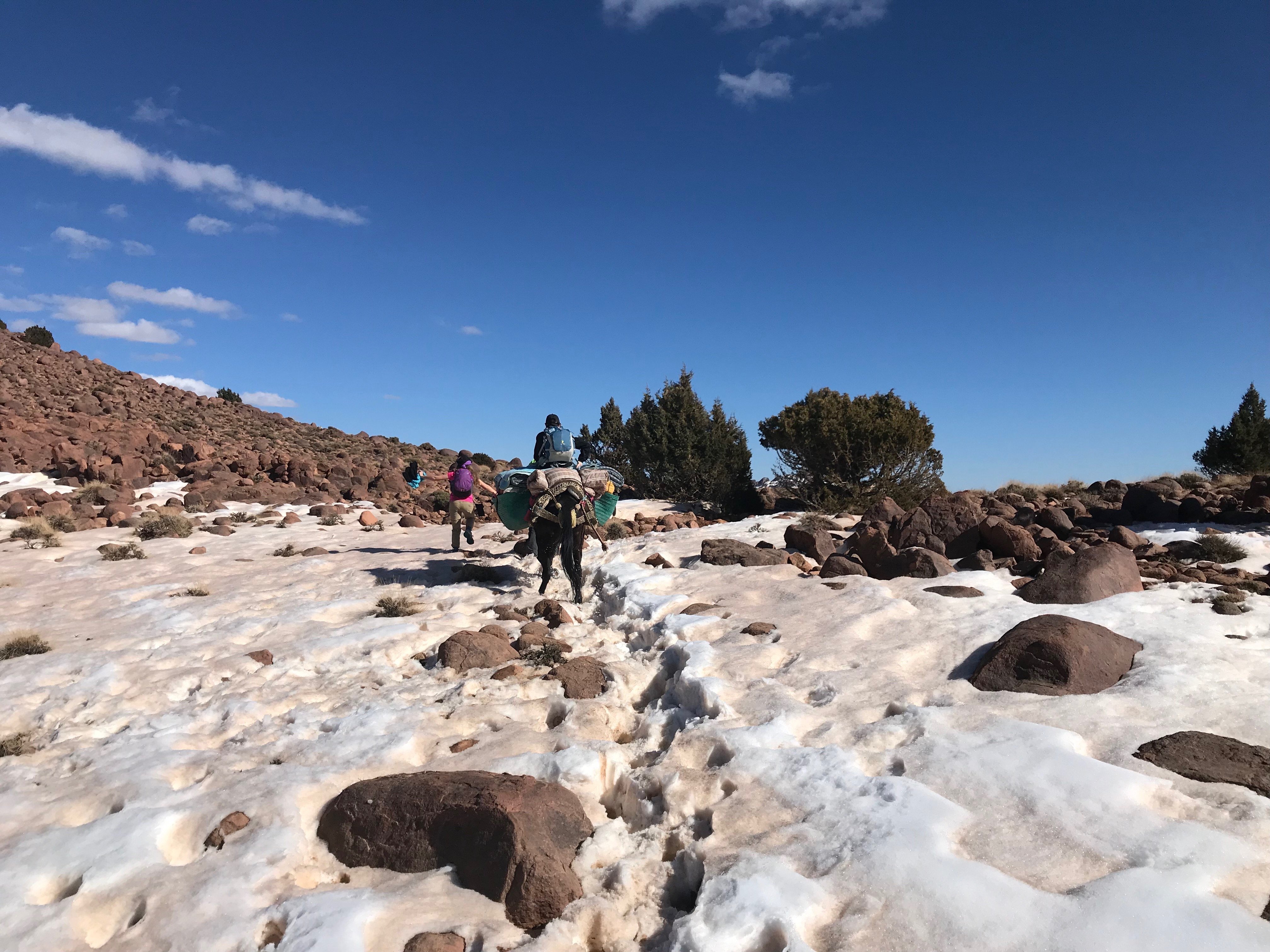 Randonnée dans la neige au Djebel Saghro