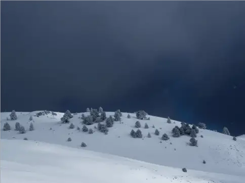 Paysage enneigé du Vercors