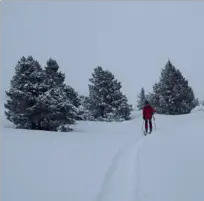 Ski de randonnée nordique sur les hauts plateaux du Vercors