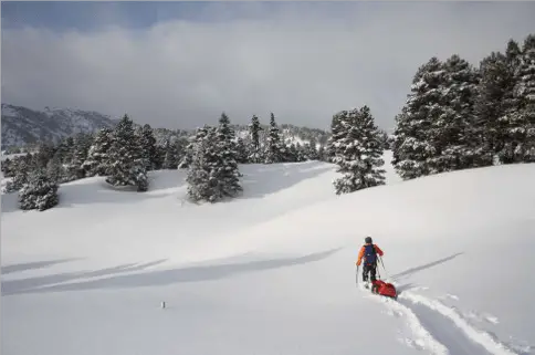 ski de randonnée nordique dans les hauts Plateaux du Vercors
