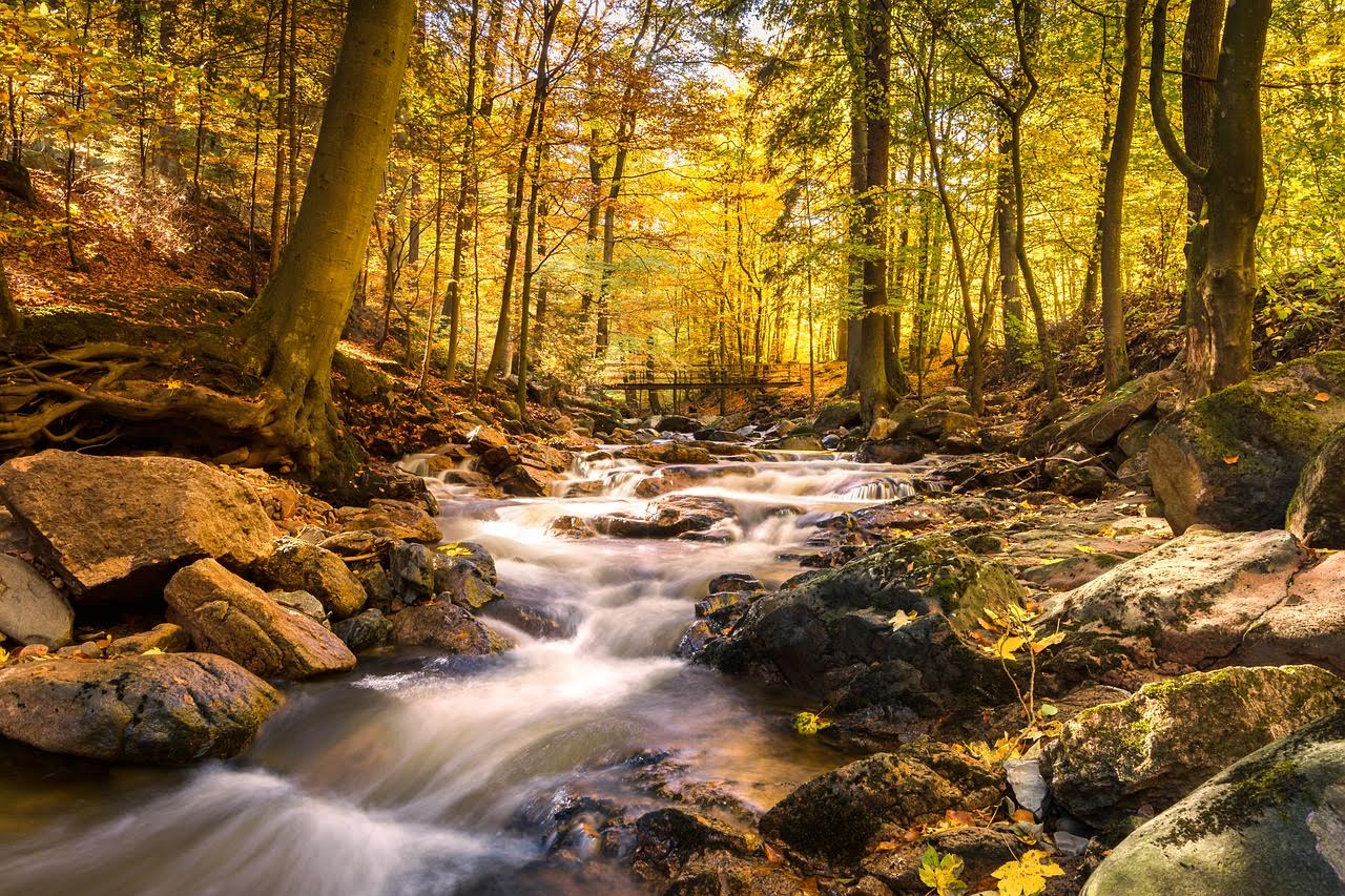 Randonnée et camping pour vous reconnecter à la nature