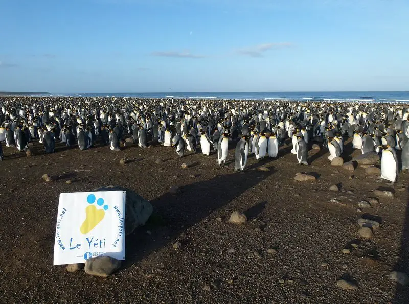 Le Yéti dans le monde à la découverte des Iles de Kerguelen