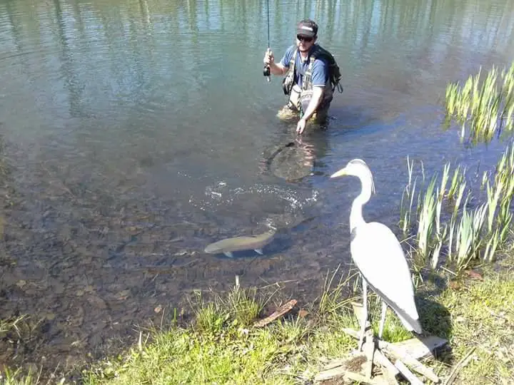 Pêche à la mouche au Lac des Terres Noires