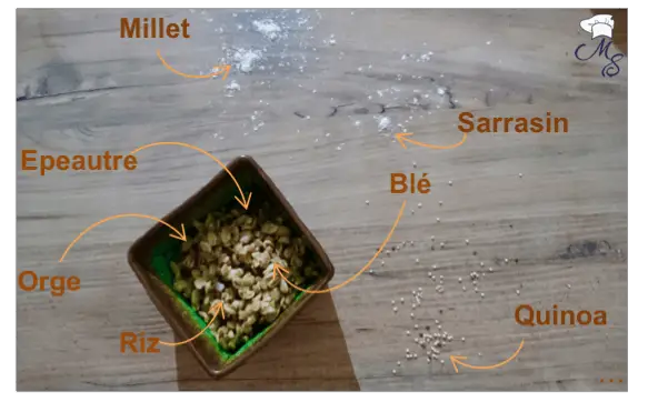 Les céréales dans la nutrition sportive Les céréales dans la nutrition sportive